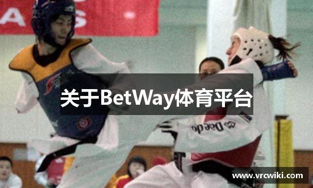 关于BetWay体育平台